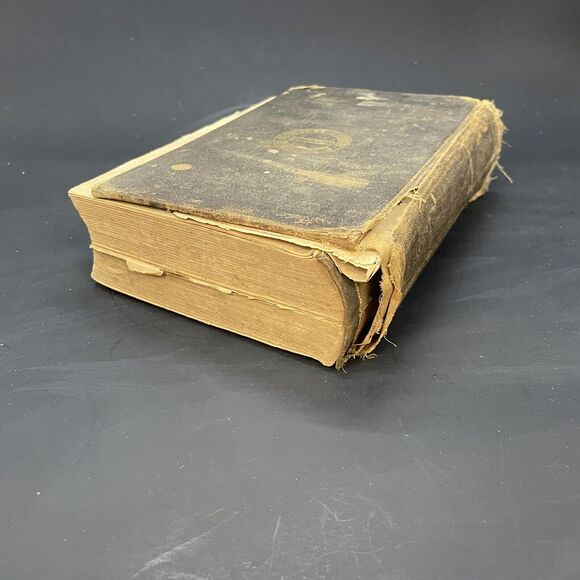 Plain Home Talk Medical Common Sense, OLD, Illustrated HB - Picture 4 of 12